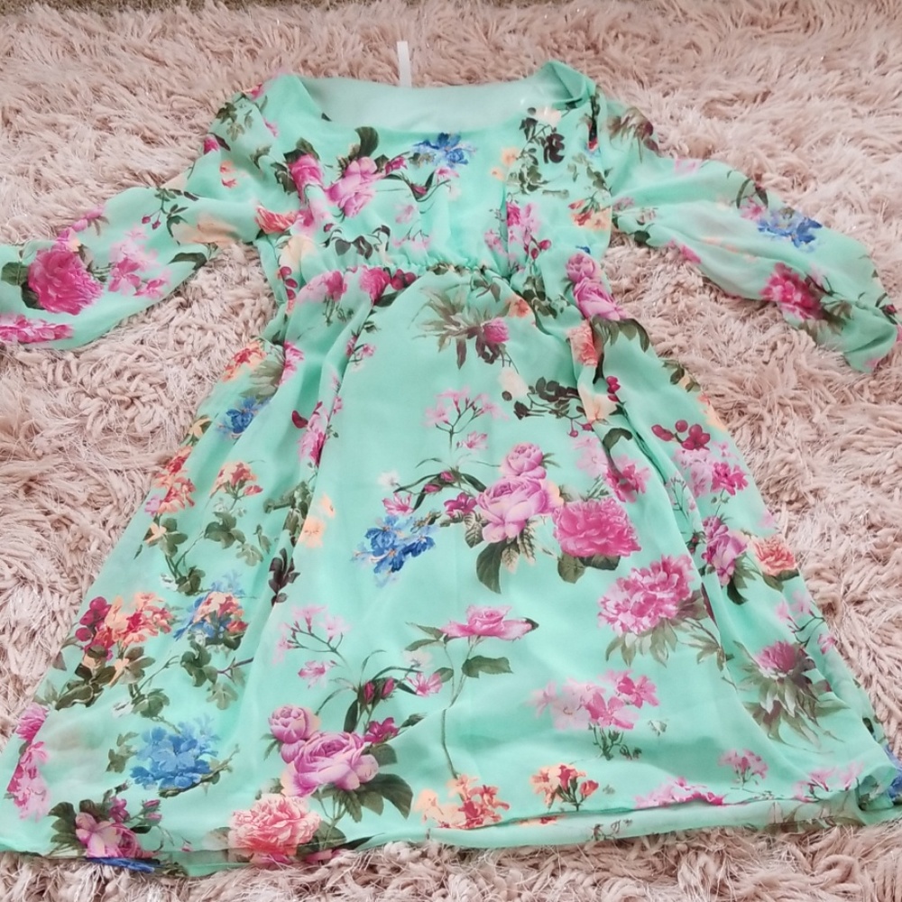 Pinkblush maternity dress floral